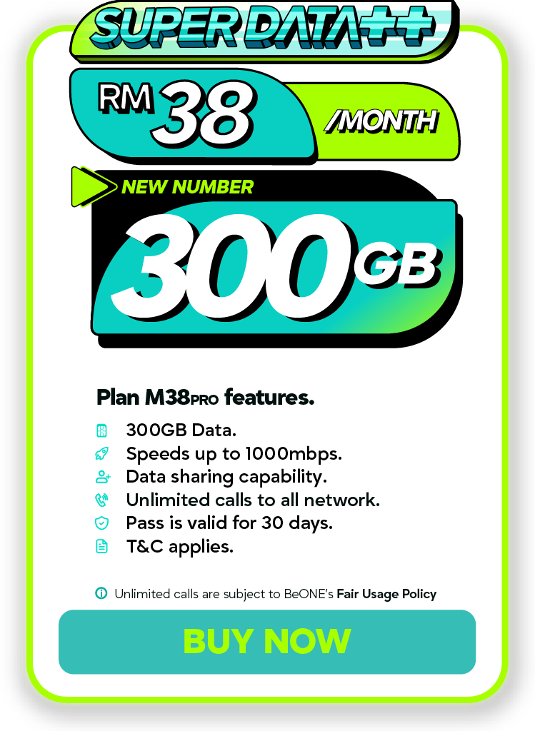 300GB Plan